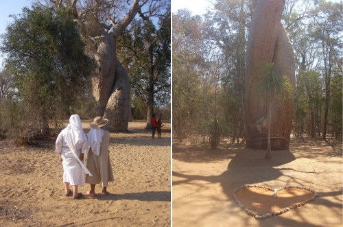 Morondava, Randy Donny, tourisme, baobab
